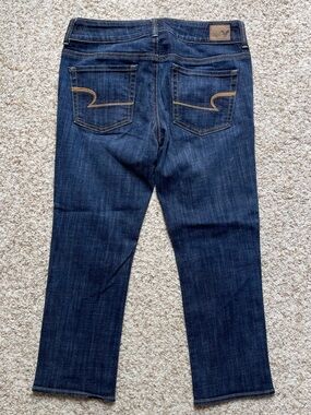 American Eagle Artist Crop Jeans